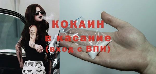 индика Нязепетровск