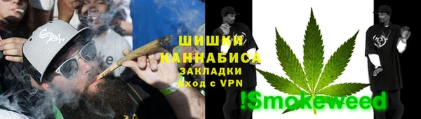 прущие грибы Новокубанск