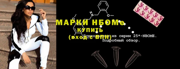 прущие грибы Новокубанск