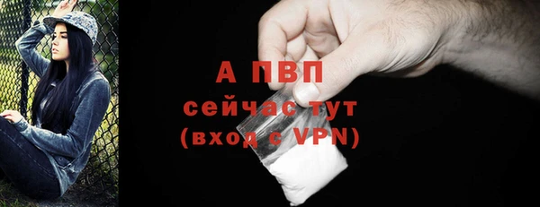 индика Нязепетровск