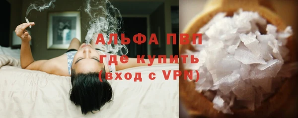 индика Нязепетровск