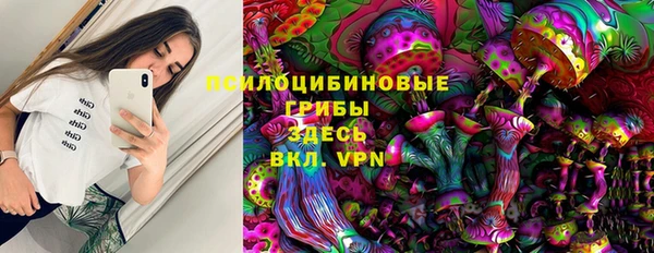 индика Нязепетровск