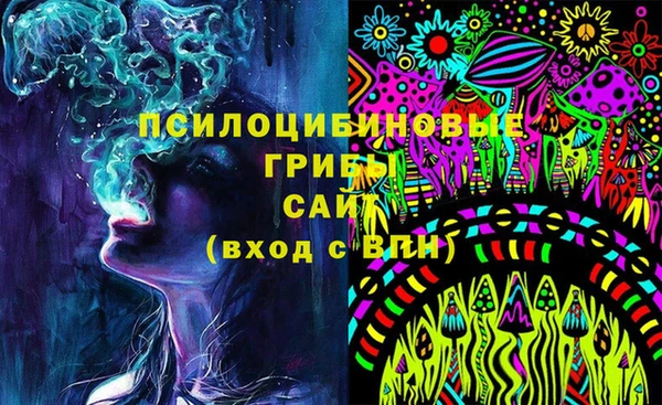 PSILOCYBIN Новозыбков