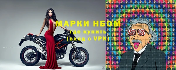 индика Нязепетровск