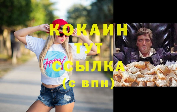 прущие грибы Новокубанск