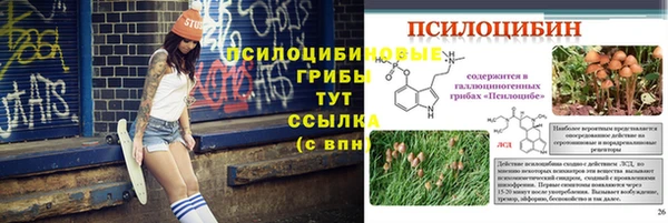 прущие грибы Новокубанск