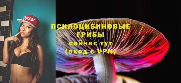 индика Нязепетровск