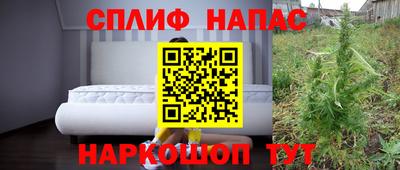 PSILOCYBIN Бийск