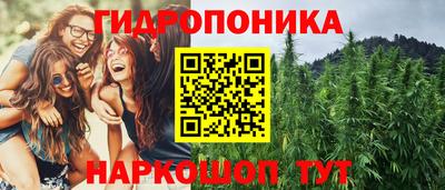 прущие крисы Беслан