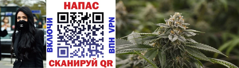 Бошки марихуана OG Kush  Борзя 